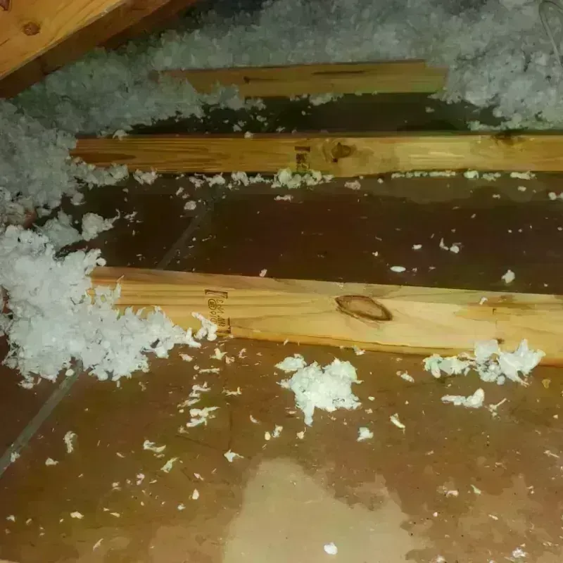 Attic Water Damage in Wintersville, OH